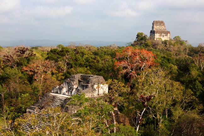 Tikal National Park in Guatemala. Credit: Kumar Sriskandan / Alamy Stock Photo