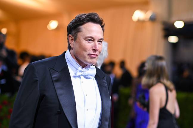 Elon Musk has strongly denied the sexual assault allegation made against him. Credit: Alamy