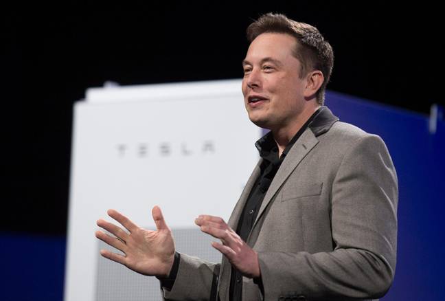 Tesla founder Elon Musk (Alamy)