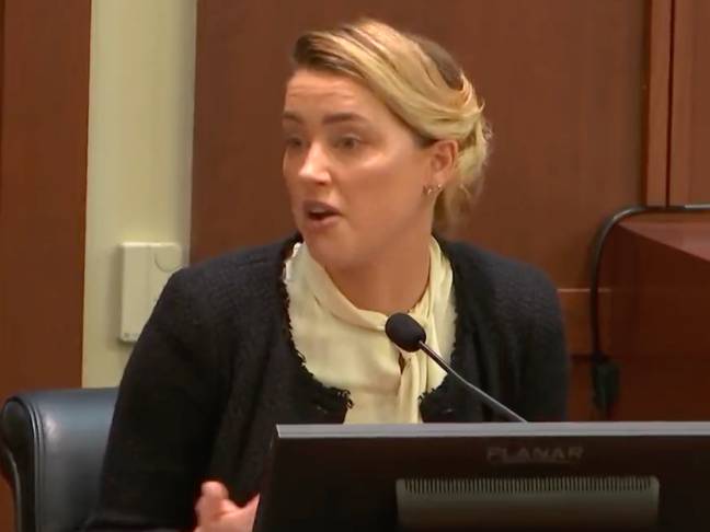 Amber Heard continued her counter-argument on Thursday. Credit: Law and Crime Network