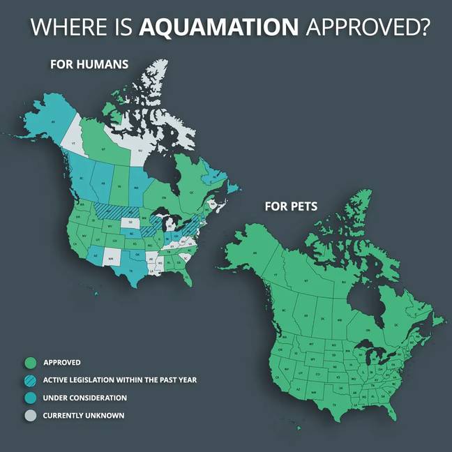 Aquamation for humans is currently approved in 21 selected American states. Credit: Aquamation Info