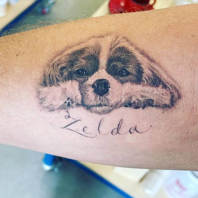 Seth Rogen Honors Beloved Late Dog Zelda with Heartfelt Tattoo Tribute 9 Rogen said his beloved pooch is now 'just a glance away at all times'. Credit: Instagram/@sethrogen