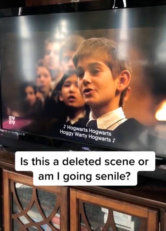 Prior to the sit down meal, Hogwarts students opt to welcome the two other institutions with their official school song. Credit: kristinamarieclaire/TikTok/Warner Bros.