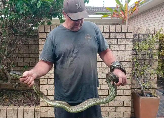 Ben had to wrestle the python before it let go of his son. Credit: Tesse Ferguson / 9 News