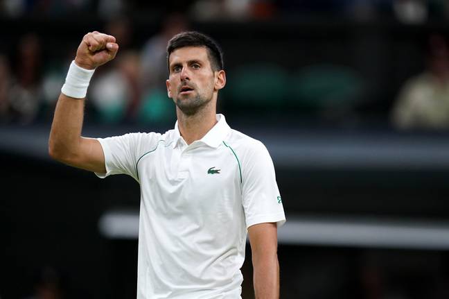 Novak Djokovic won at Wimbledon recently. Credit: Alamy