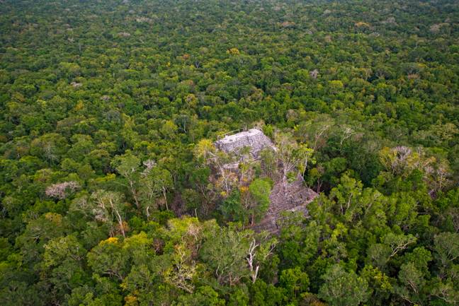 Hundreds of ancient settlements built in around 1,000 BC had been hidden by the El Mirador jungle in Guatemala. Credit: Al Argueta / Alamy Stock Photo