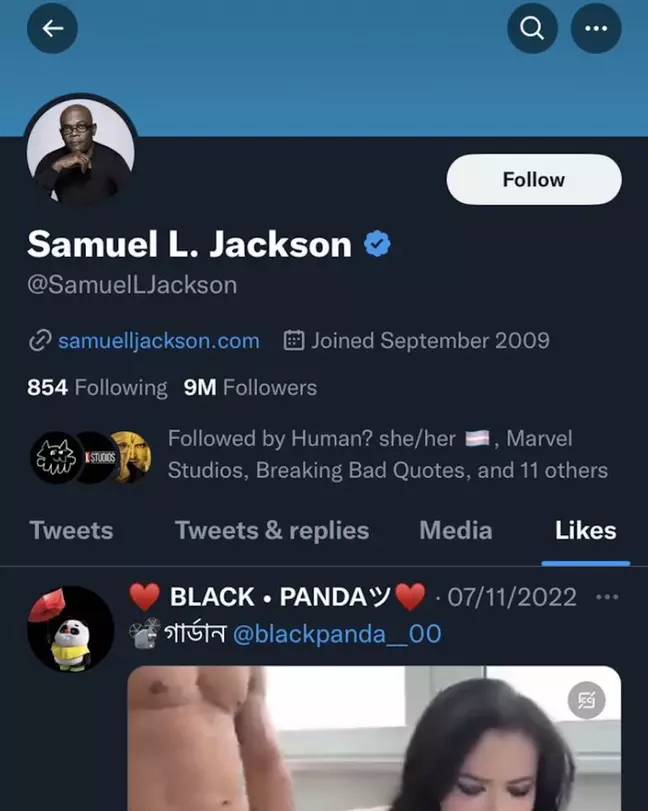 Samuel L. Jackson's account was recently caught liking x-rated content. Credit: Twitter