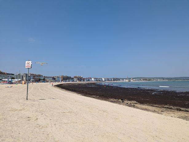 Smelly Seaweed Barrier Puts Tourists Off Visiting Popular Beach smelly-seaweed-barrier-puts-tourists-off-visiting-popular-beach
