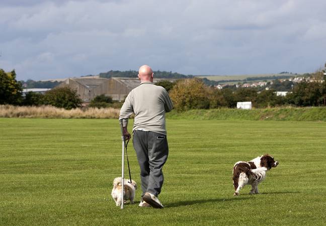 Dog walkers are being urged to dig poo bags by a new campaign. Credit: Pixabay