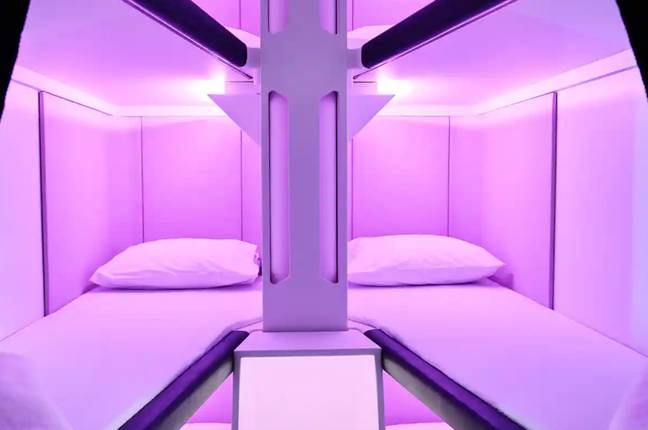 The airline is hoping to launch the communal sleeping spaces by 2024. Credit: Air New Zealand