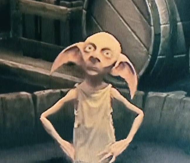 Dobby Clean Hogwarts Legacy players ‘can’t unsee’ Dobby as Rowan Atkinson as ...