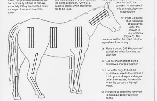 Bizarre US Forestry guide resurfaces that details how to blow up a horse