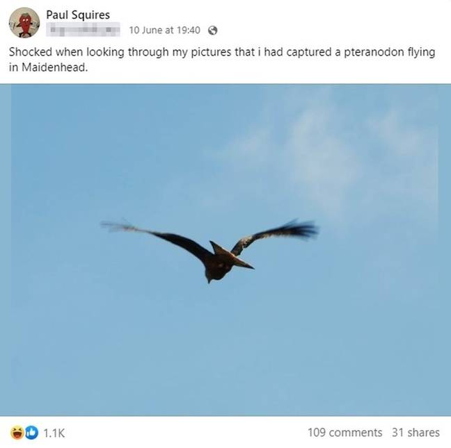 Paul later shared the pic on Facebook. Credit: Kennedy News and Media/Paul Squires