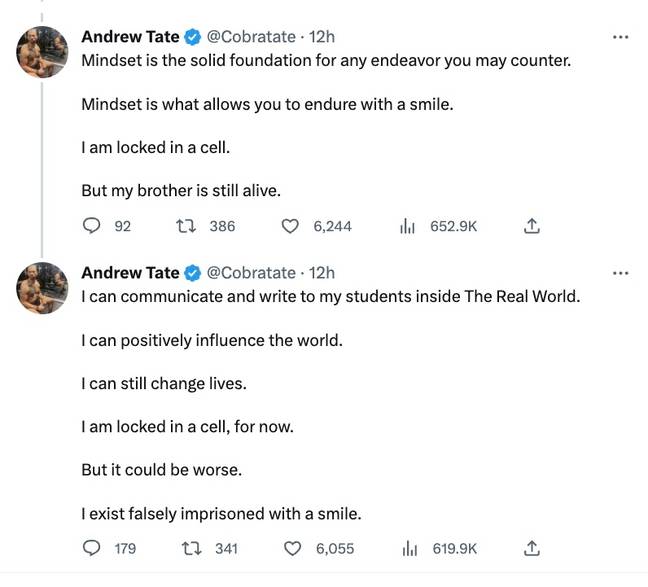 The controversial internet figure shared a series of bizarre tweets from his prison cell. Credit: Twitter/Andrew Tate