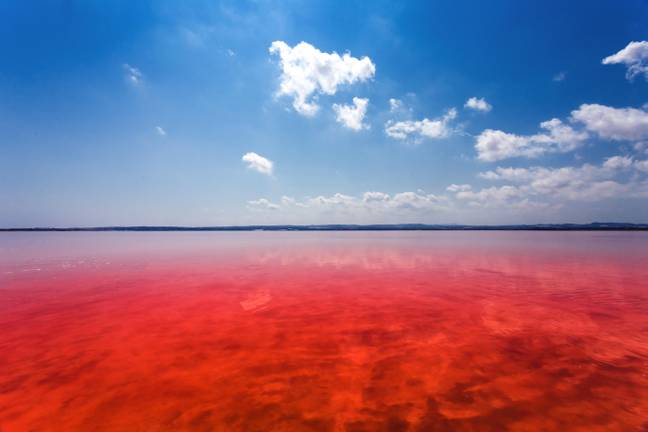 Sometimes it can look red. Credit: Lukas Jonaitis / Alamy Stock Photo