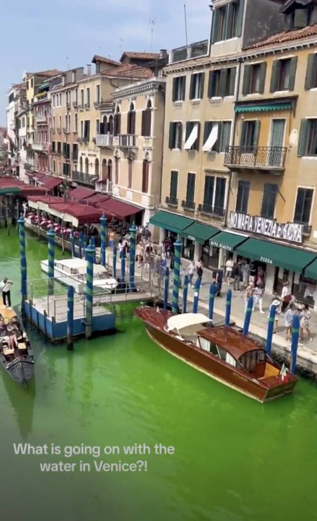 Police investigate as Venice canal mysteriously turns fluorescent green