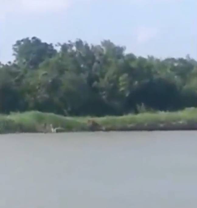 The figure was crouched by the lake. Credit: Disclose Screen/YouTube