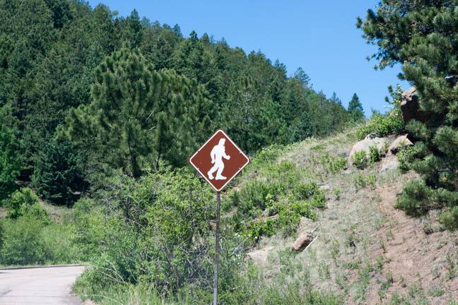 There are sites across the US where people claim to have spotted Bigfoot. Credit: Stephanie Graeler/Alamy Stock Photo