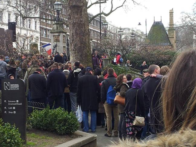 Man Earns £160-A-Day By Standing In Line For Rich People