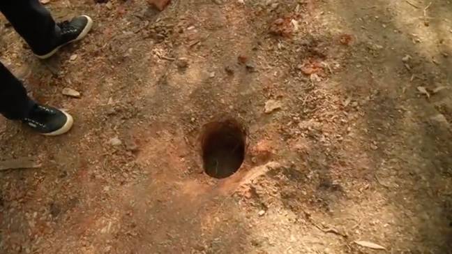 Large holes were dug into the ground to collect soil samples. Credit: BBC