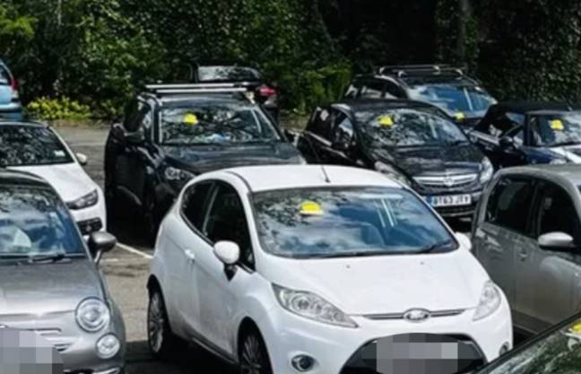 People took to social media to speculate on why every car had been ticketed. Credit: Facebook / Sam Gildersleve
