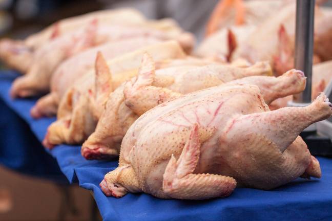 Chicken is rising faster in price than any other protein. Credit: Alamy