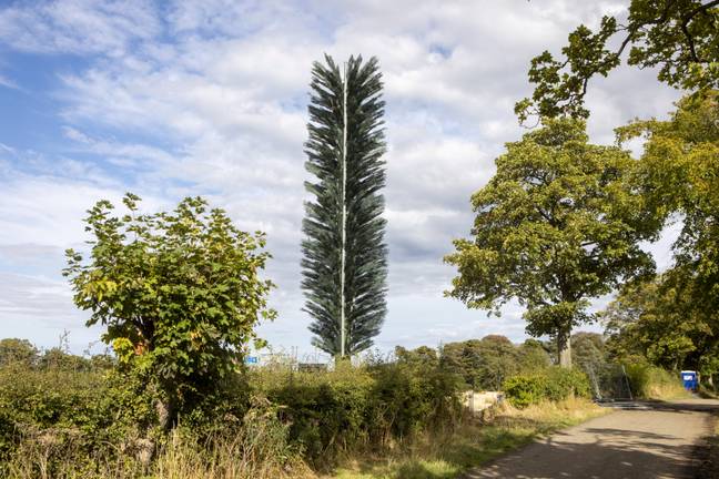 UK news: Phone mast disguised as massive tree compared to ‘gigantic ...