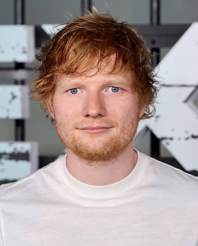 Even Ed Sheeran wasn't safe from the cartoon character comparison. Credit: Jamie McCarthy / Staff / Getty Images