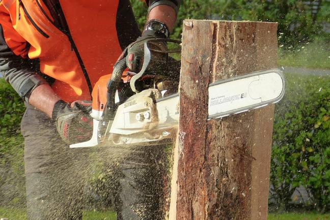 Thought chainsaws were invented for wood? Think again. Credit: Pixabay