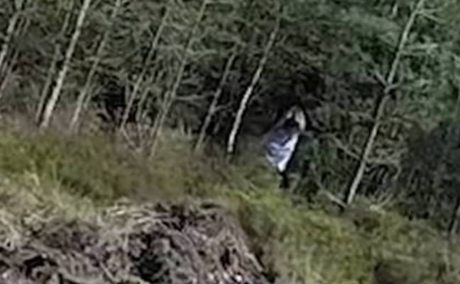 Это призрак или просто кто-то переодевается? Кредит: YouTube/Яростная выдра