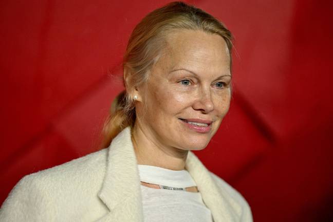 Anderson admitted that her signature look which catapulted her to fame was completely inauthentic to her. Credit: Getty Images