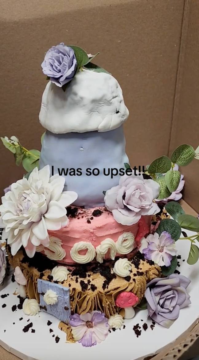 The cake cost $200 (around £150). Credit: TikTok/@khrissyjoe1