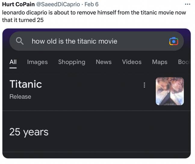 DiCaprio's romances have long been the subject of jokes. Credit: @SaeedDiCaprio/Twitter