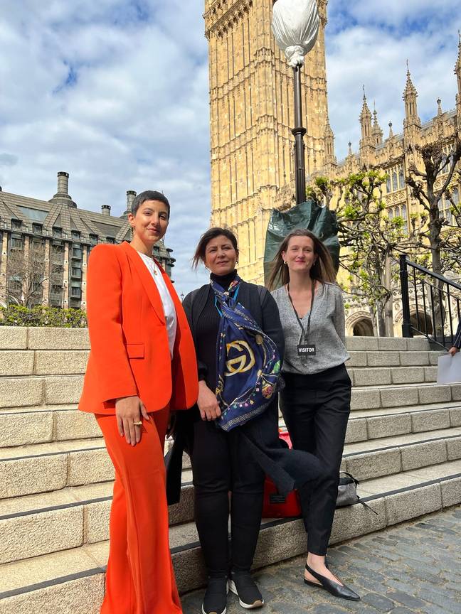 Campaigners for the ending of child marriages outside parliament (Credit: Twitter/@Ronahihasan