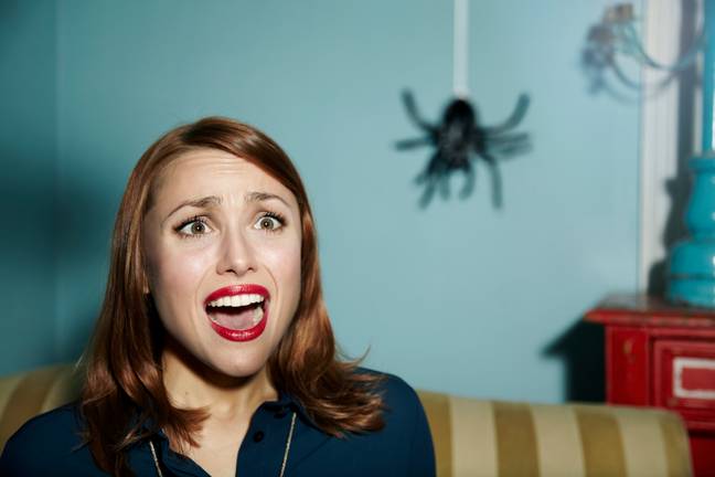 &quot;Oh no, a giant spider! Good thing I remembered to put my lipstick on for this scream.&quot; Credit: Ezra Bailey/Getty
