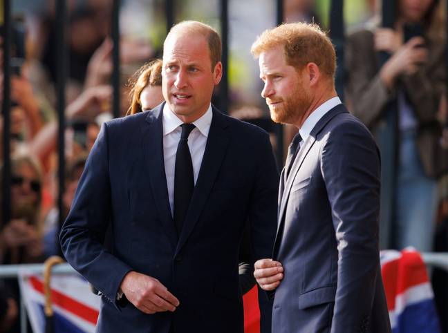 Harry and William were reunited in Windsor following the death of the Queen. Credit:  Jamie Lorriman / Alamy Stock Photo