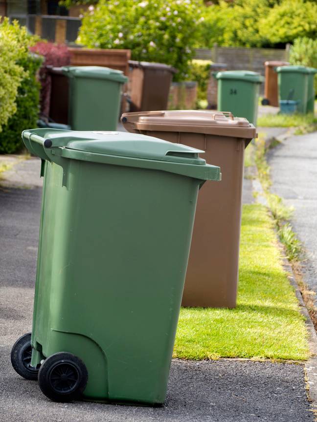 Ministers hope recycling rates will increase following the new changes. Credit: Planet One Images/UCG/Universal Images Group via Getty Images