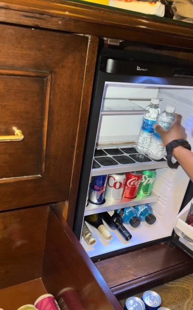 She instead restocked the fridge with her own products. Credit: TikTok/@dynewithbella