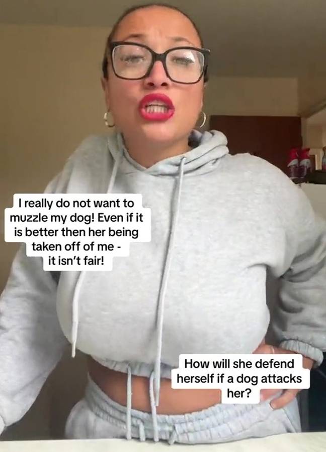 XL bully dog owner Daniella took to TikTok to share her thoughts on muzzling her pet. Credit: TikTok/@danandbebe