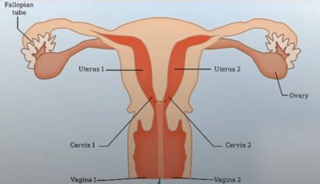 OnlyFans Star Born With Two Vaginas Shares What She Uses Each One For OnlyFans Star Born With Two Vaginas Shares What She Uses Each One For