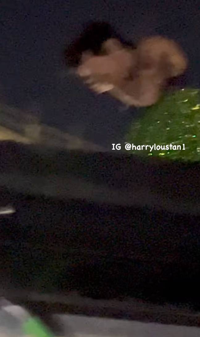 Harry Styles appeared to be hit in the eye by an object. Credit: Instagram/@harryloustan1