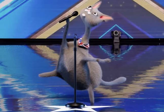 Noodle the cat sang his heart out. Credit: ITV