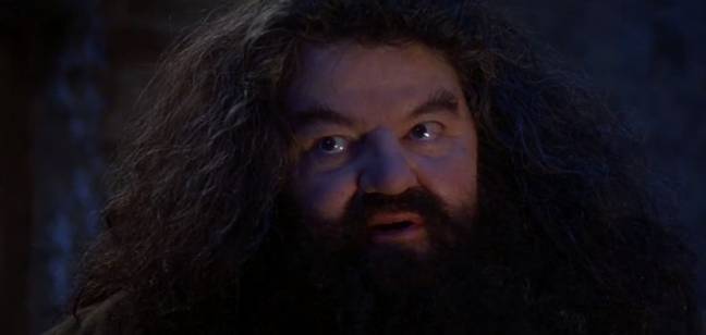Robbie Coltrane as Rubeus Hagrid in Harry Potter. Credit: Warner Bros