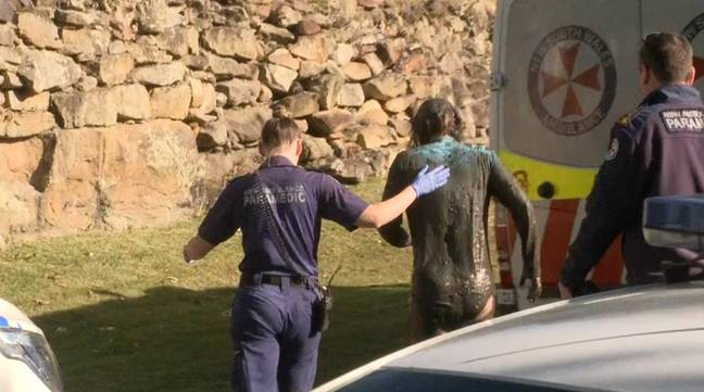 Authorities rushed to the scene to help the owner and the dog. Credit: 7NEWS
