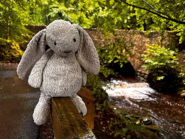 The mum is offering £200 to anyone who can retrace the family's steps and find Rara the rabbit. Credit: Airtasker