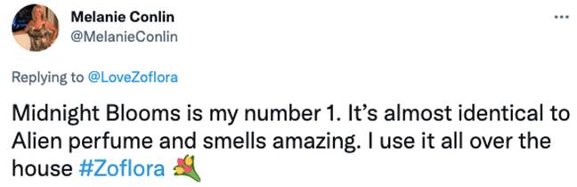 Alien smell zoflora 2025