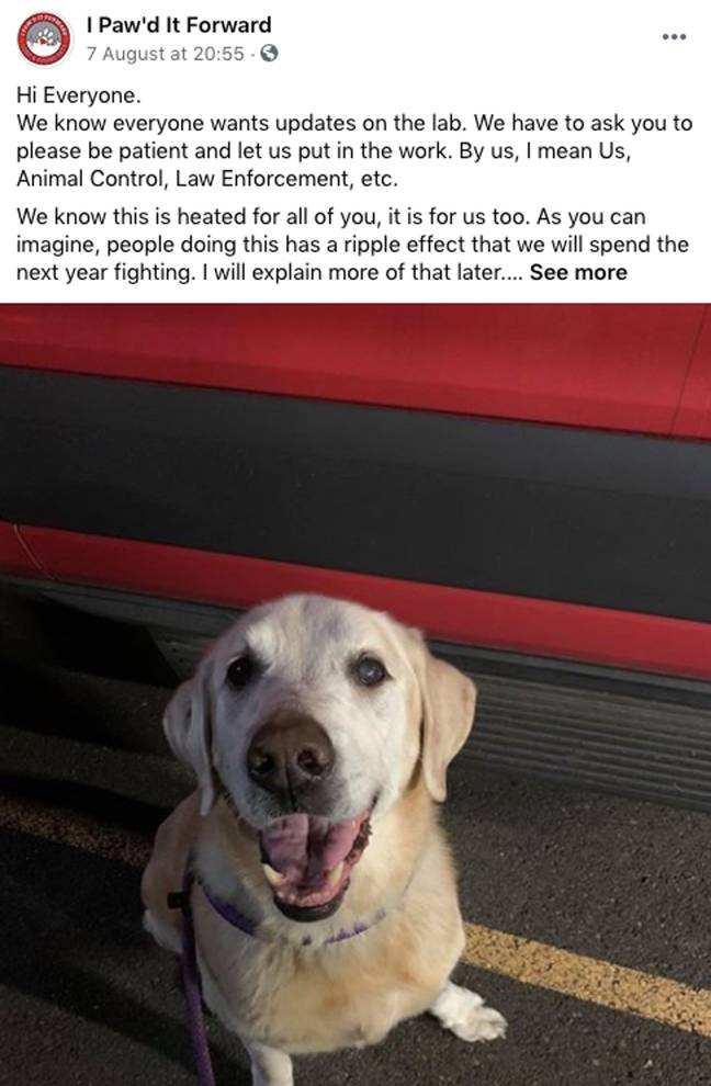 The organisation posted an image of the beautiful pooch. Credit: I Paw'd It Forward/Facebook