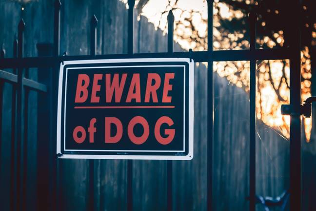 Home insurance companies have warned against putting up 'Beware of the Dog' signs around your property. Credit: Catherine Falls Commercial / Getty Images