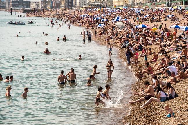 Beachgoers enjoying warm weather in Brighton in 2014. Credit: Alamy / Julia Claxton
