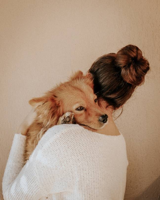 This might make you think twice about hugging your pooch. Credit: Pexels